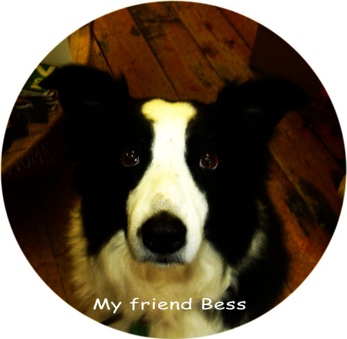 Bess, Jack's friend Dec 1 2014