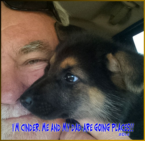 Cinder the Dog and Dad August 2014