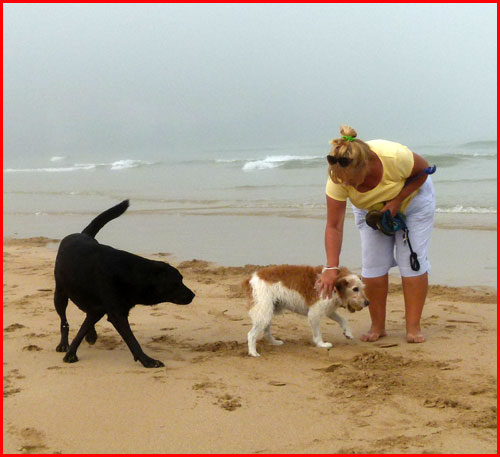 Jack's beach lady friend and Alfie